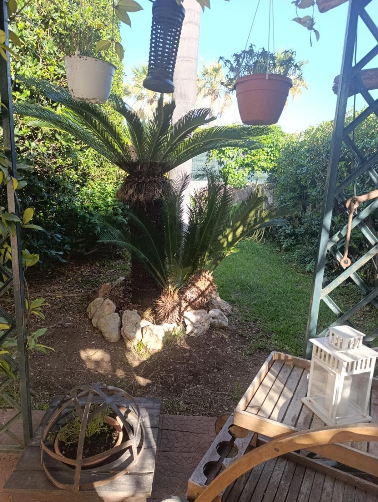 Villa Aurora Ognina Dış mekan fotoğraf